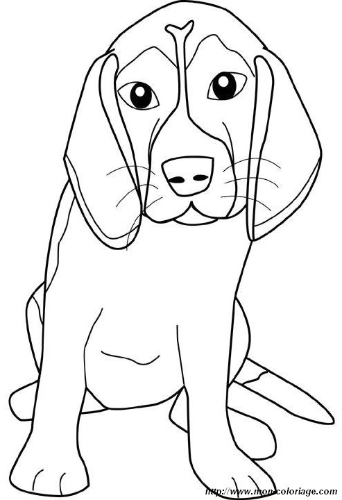 ausmalbild hunderasse beagle