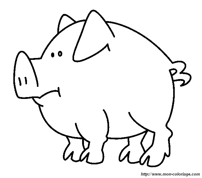 ausmalbild schwein 7