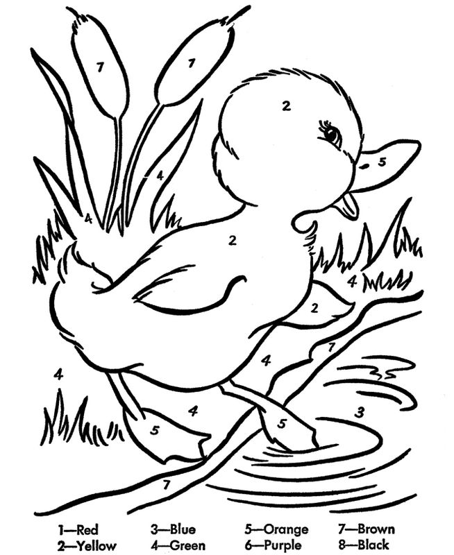 ausmalbild Eine kleine Ente