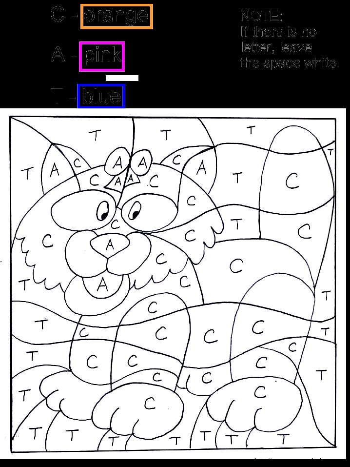 ausmalbild katze