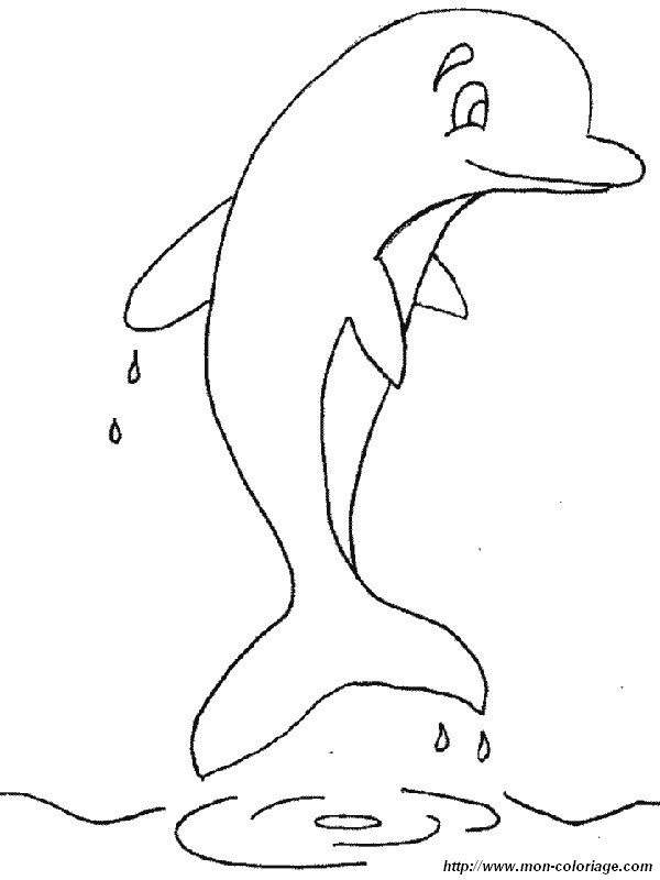 ausmalbild Delfinsprung