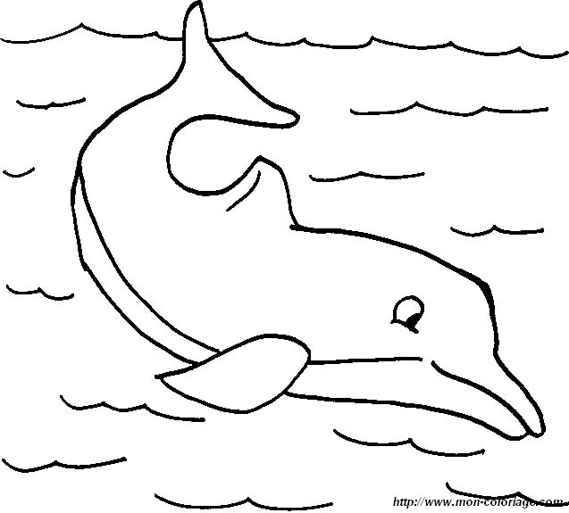 ausmalbild delfin 004