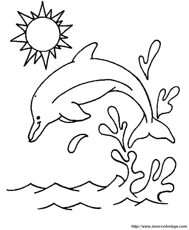 ausmalbild delfin 008