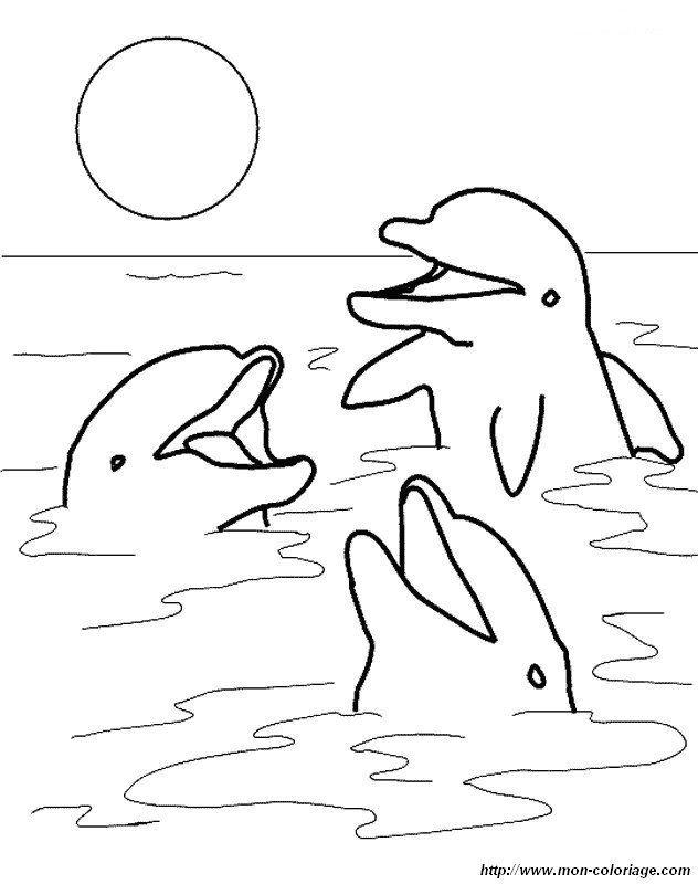 ausmalbild drei Delfine singen