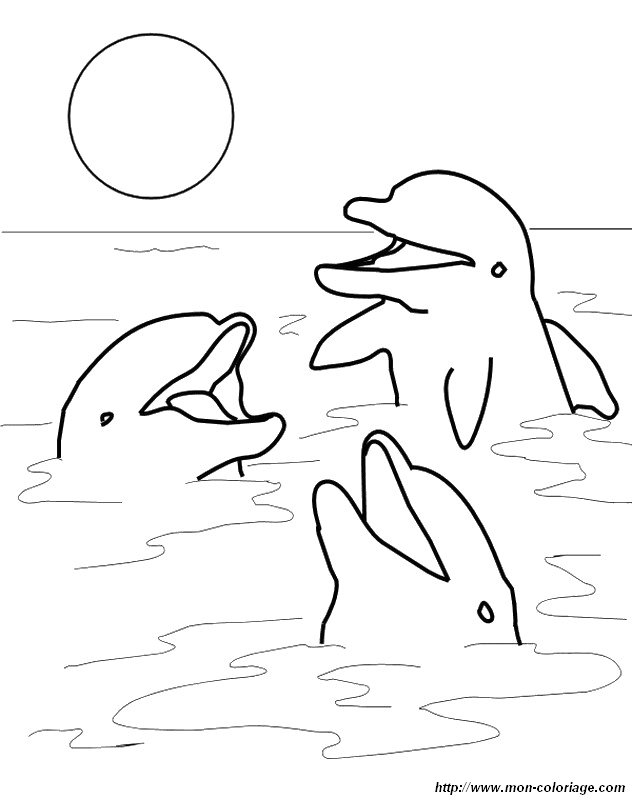 ausmalbild drei gluckliche Delfine