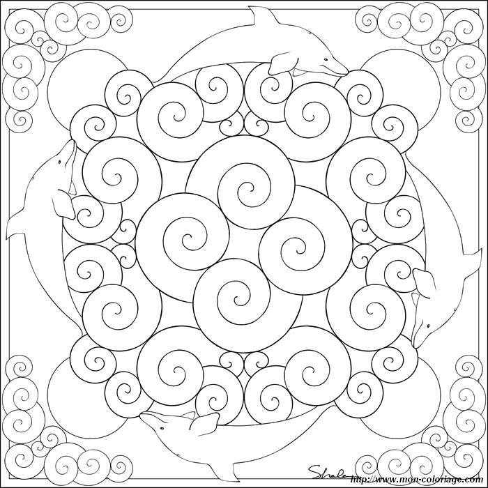 ausmalbild mandala delfine