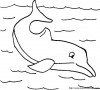 delfin 004