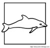 delfin 005