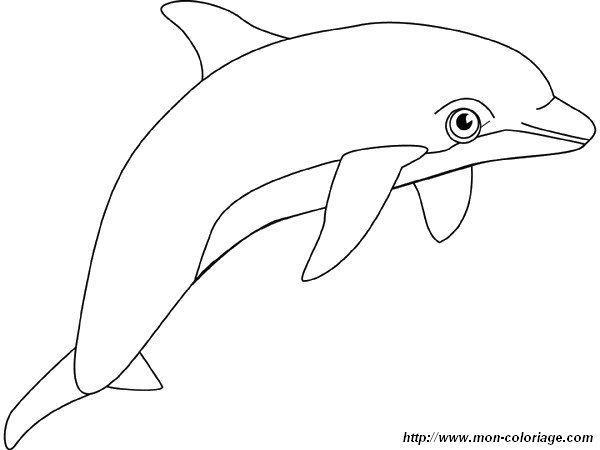 ausmalbild neugierig diese Delphin