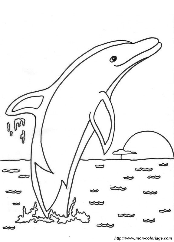 ausmalbild sonne delfinsprung