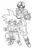 Zwei Helden Dragon Ball Z