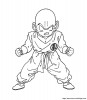 dbz 1