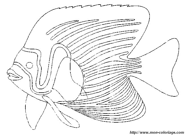 ausmalbild fisch 14