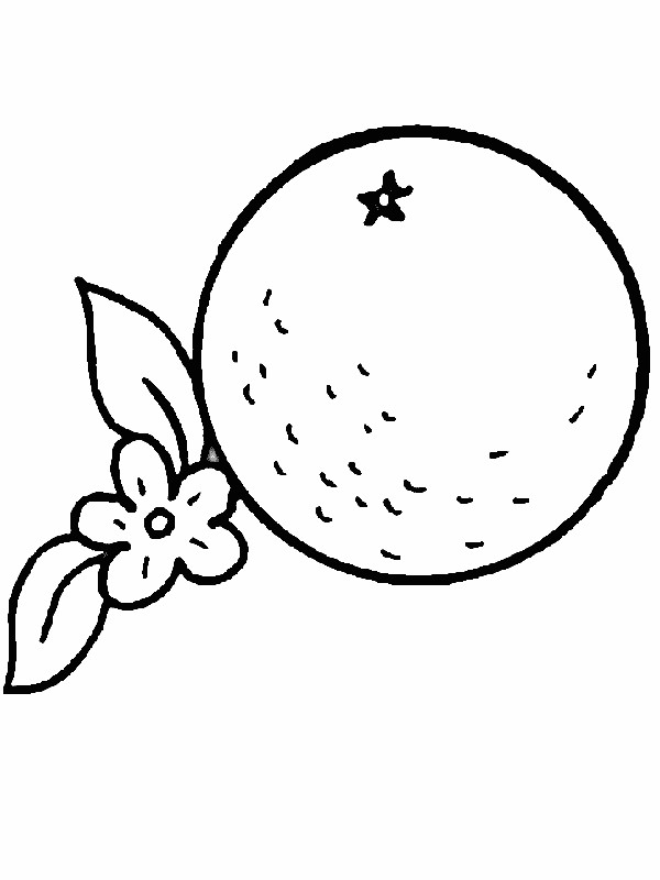 ausmalbild Apfelsine und kleine Blume