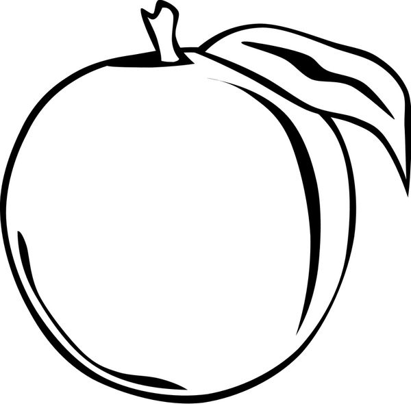 ausmalbild Eine Aprikose zum Ausmalen