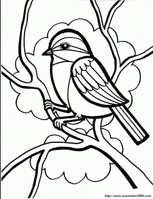 Ausmalbilder Frühling, bild Ein kleiner Spatz