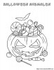 Die Kinder sammelten eine Menge Sussigkeiten an Halloween