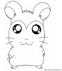 Hamtaro