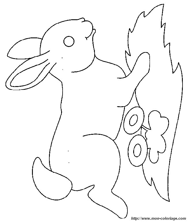 ausmalbild kaninchen 0041