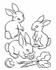 Drei Baby Kaninchen