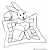 kaninchen 0034