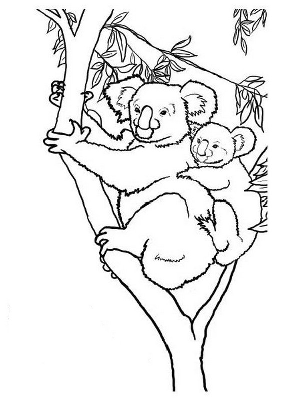 ausmalbild Koala und ihr baby