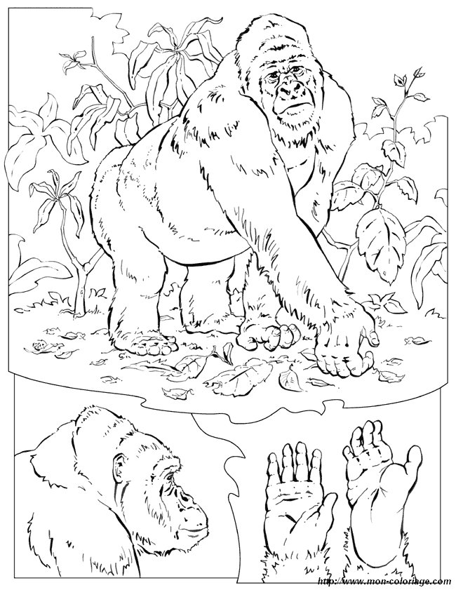 ausmalbild gorilla
