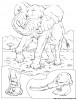 elefant