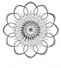 Ein Mandala als eine grosse Blume