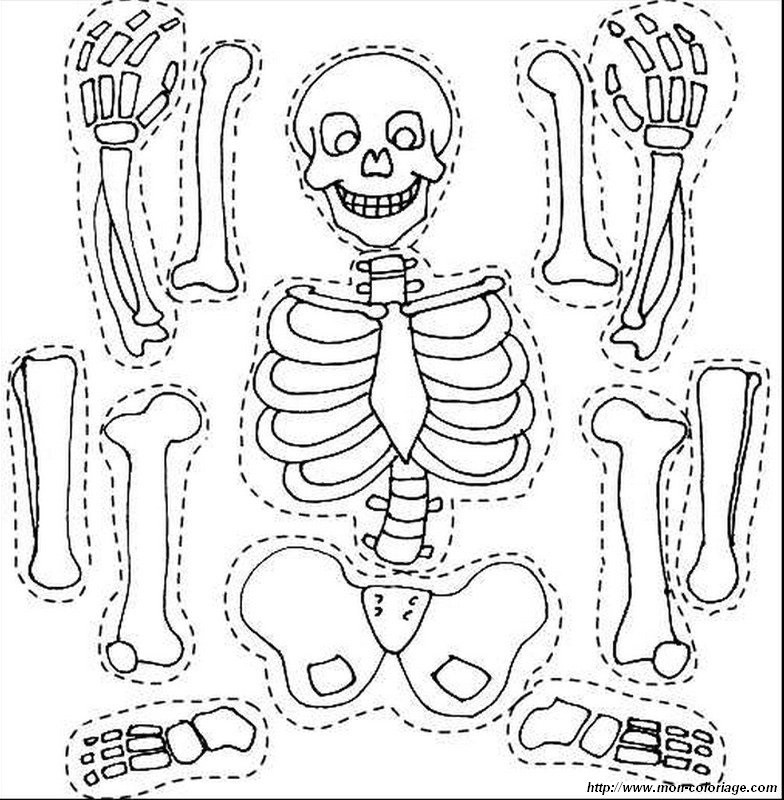 ausmalbild lachelnde skelett