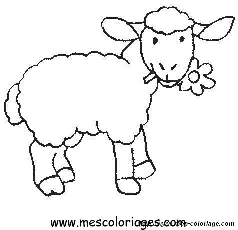 ausmalbild schafe 0016