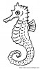 seepferdchen 011