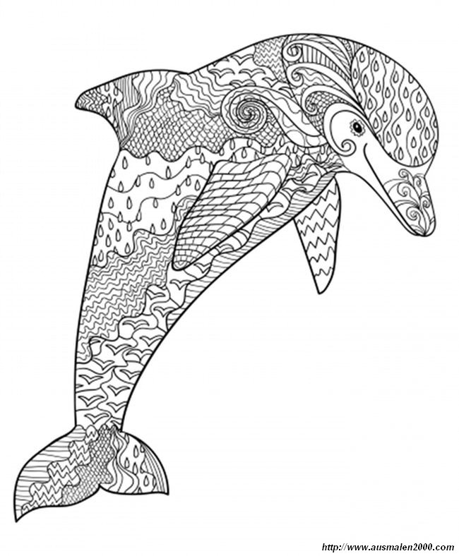 Delfin Ausmalen Delfine Ausmalbilder 2020 05 10