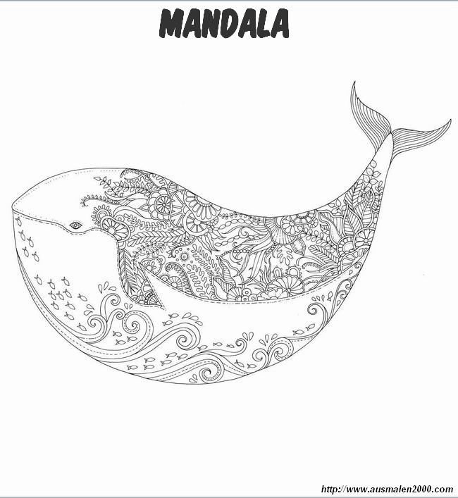 ausmalbild Wal Mandala