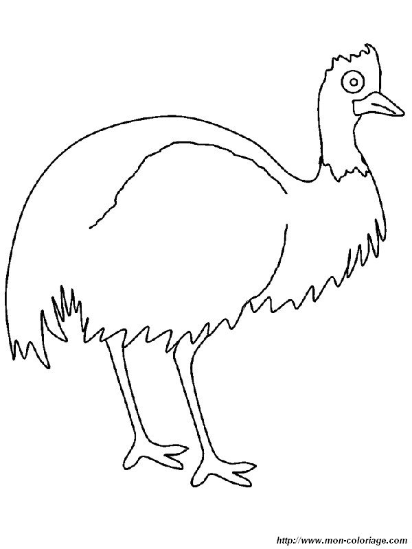 ausmalbild emus