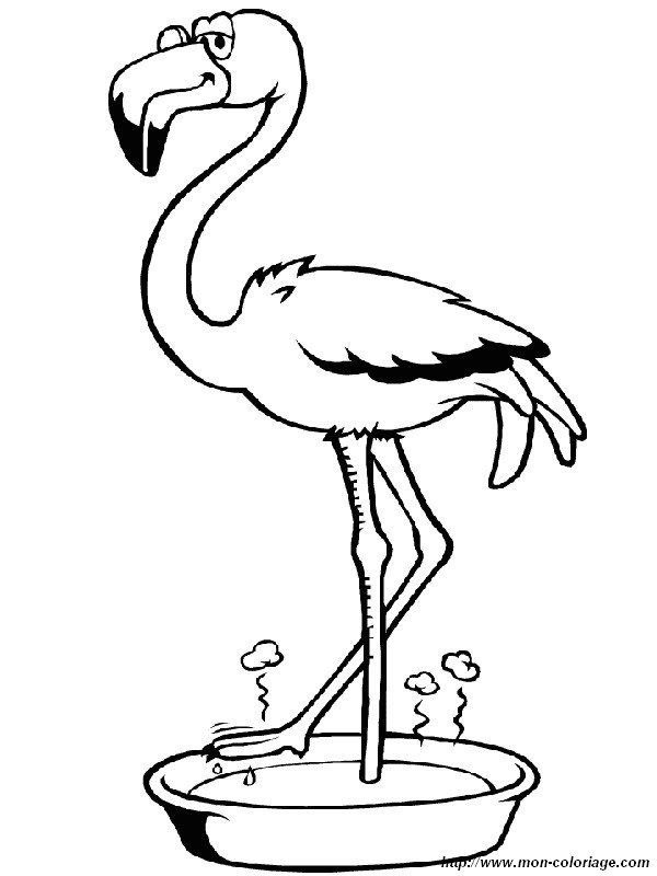 ausmalbild flamingo lachen
